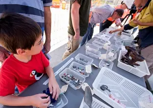 Sydney Metro employees showing community members the archaeological artefacts found at Waterloo Station, the artefacts are lined up in plastic tubs along a table with community members inspecting them.