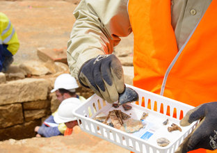 Image of a construction worker handling ancient artefacts in a white basket found at Sydney Metro's White Hart Inn site. 