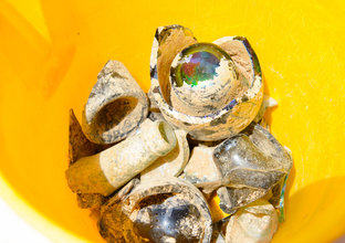 Bottle fragments covered in sand that were found at the White Hart Inn dig site in a yellow bucket.